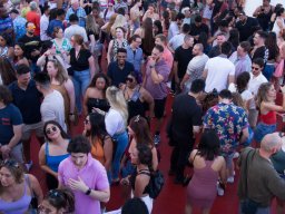 Y2K Cruise 7-28